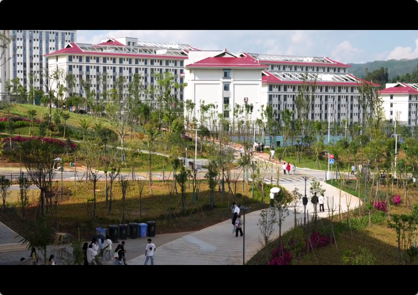 还记得大学时光里课后那个普通的下午吗？